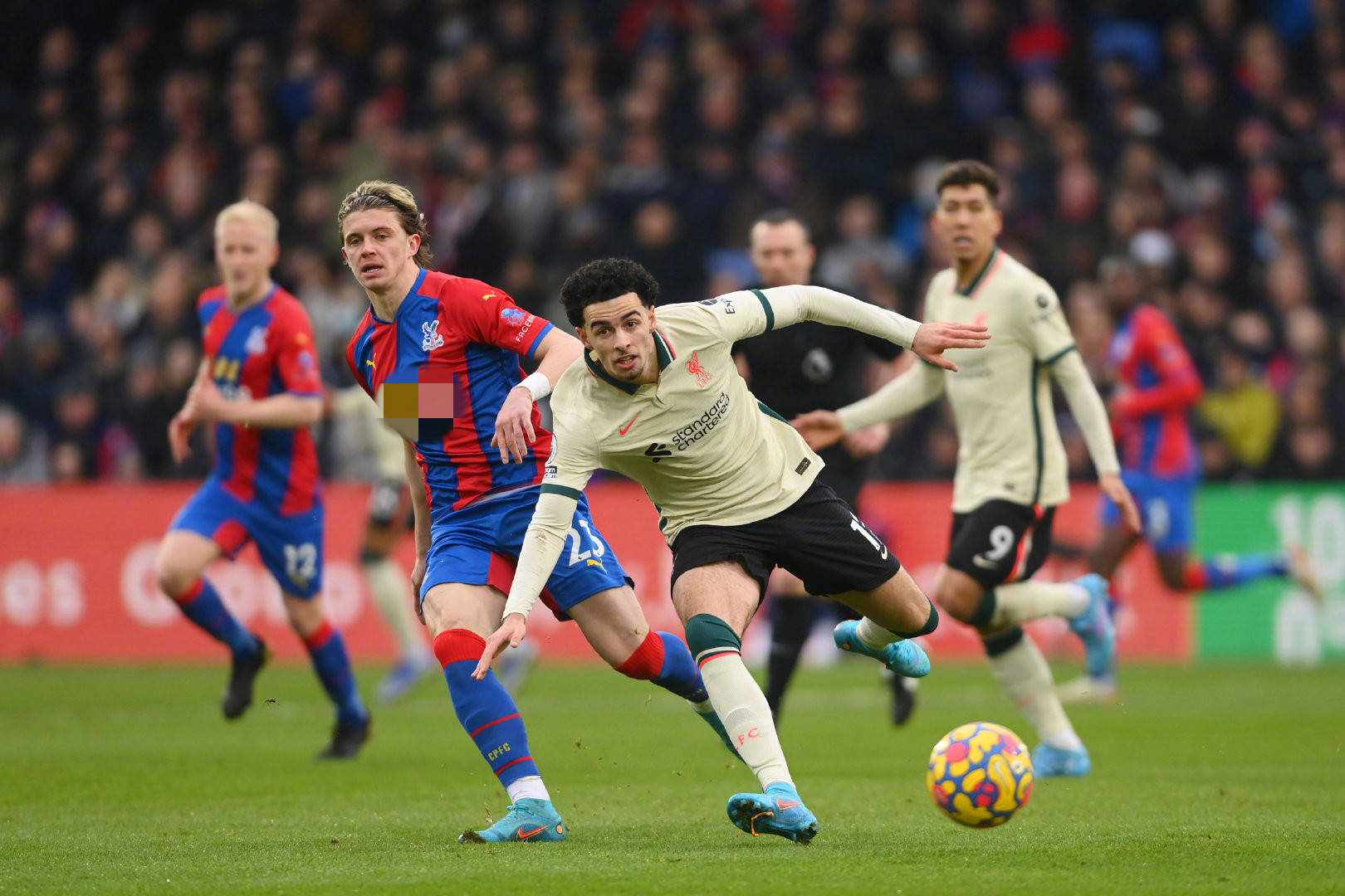 为世界顶级 为世界顶级